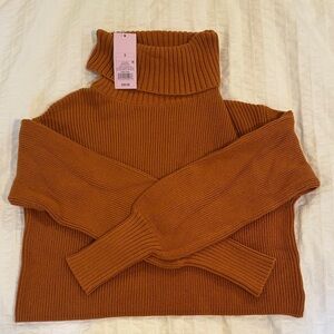 Wild Fable Rust Turtleneck Cropped Sweater